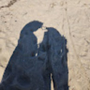 Meet your Posher, Kendra